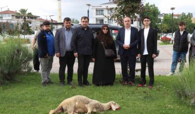Seçimi kazanan Cumhurbaşkanı Erdoğan için ilçe belediyesinin bahçesinde koç kestirdi