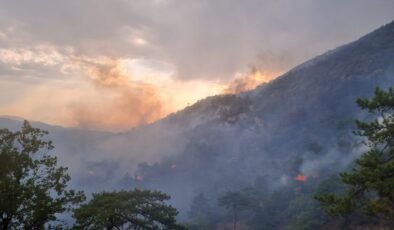 Bolu’daki orman yangınına SEDAŞ ekiplerinden hızlı müdahale
