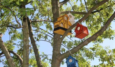 Serdivan’ın parklarını kedi ve kuş evleri süslüyor